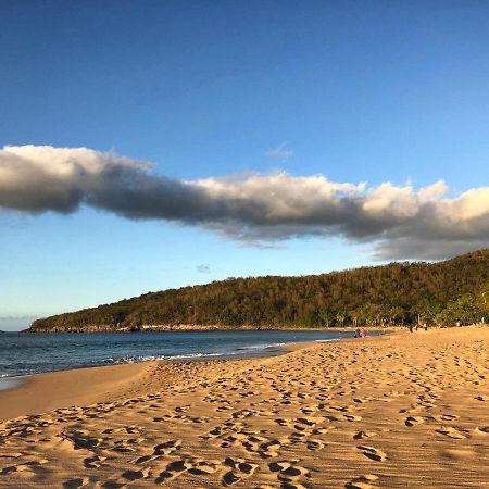 Le Surf Lodge, Chambre Avec Vue Mer Dans Un Ecrin De Verdure Deshaies Zewnętrze zdjęcie